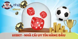 8xbet-nha-cai-uy-tin