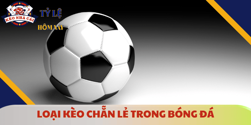 cac-hinh-thuc-keo-chan-le-la-gi