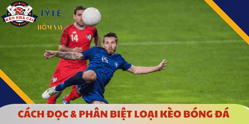 cac-loai-keo-bong-da-cach-doc-phan-biet