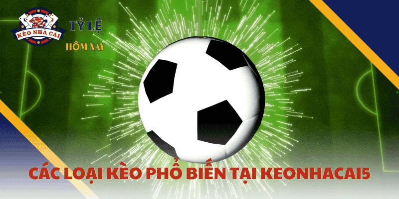 cac-loai-keo-tai-keonhacai5