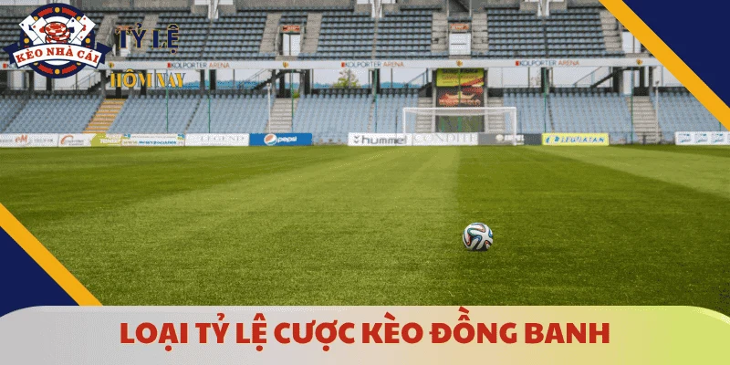 cac-ti-le-cuoc-keo-dong-banh