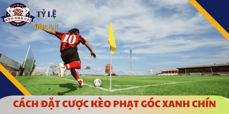 cach-cuoc-keo-phat-goc-la-gi