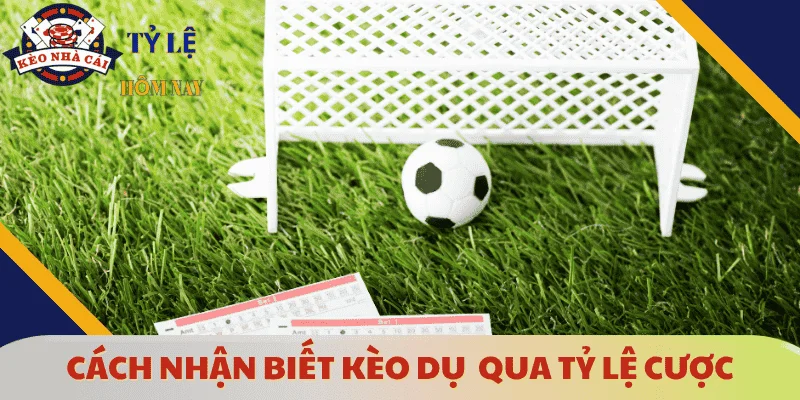 cach-nhan-biet-keo-du-qua-ty-le-cuoc