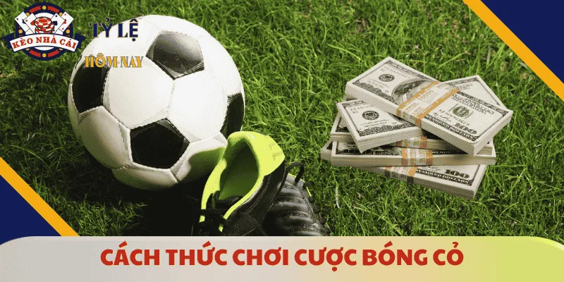 cach-thuc-choi-cuoc-bong-co