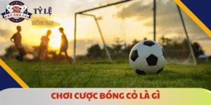choi-cuoc-bong-co