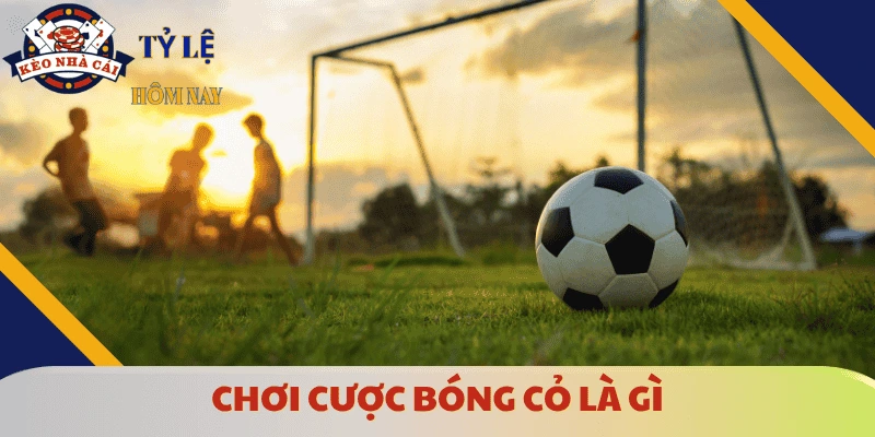 choi-cuoc-bong-co