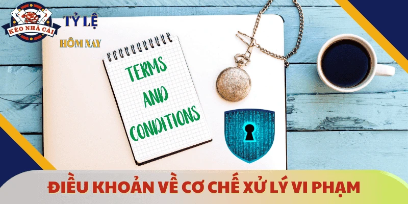 dieu-khoan-dich-vu-ve-vi-pham