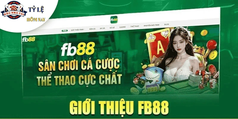 gioi-thieu-nha-cai-fb88