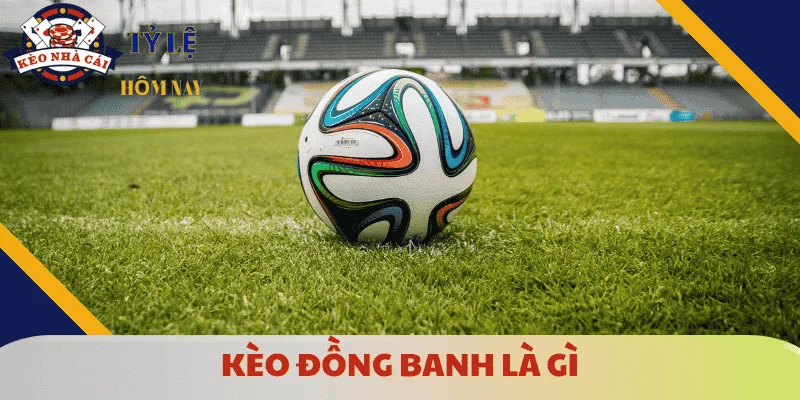 keo-dong-banh-la-gi