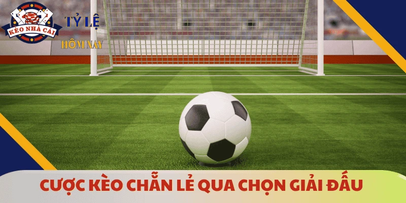 kinh-nghiem-cuoc-keo-chan-le-chon-giai-dau