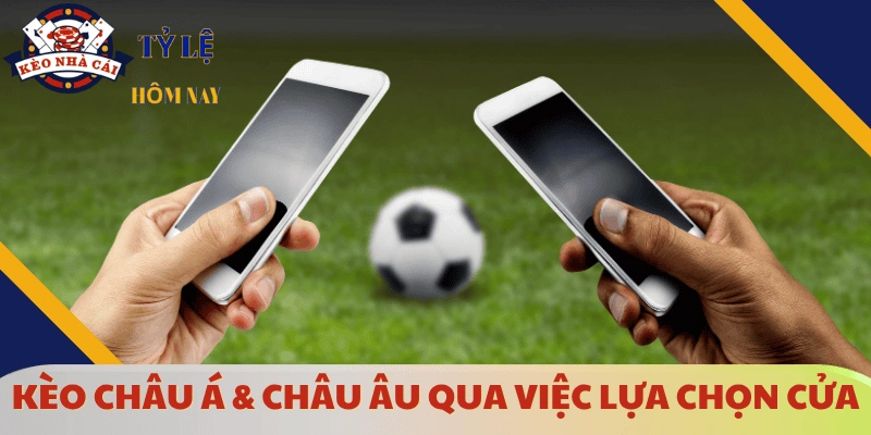 su-khac-biet-giua-keo-chau-a-va-keo-chau-au-ve-chon-cua
