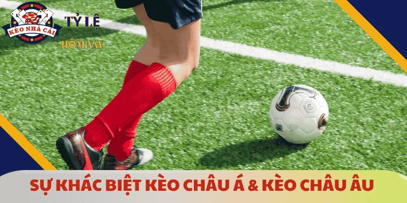 su-khac-biet-giua-keo-chau-a-va-keo-chau-au