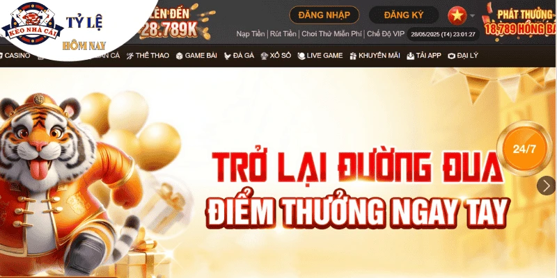 tong-quan-ve-nha-cai-789BET