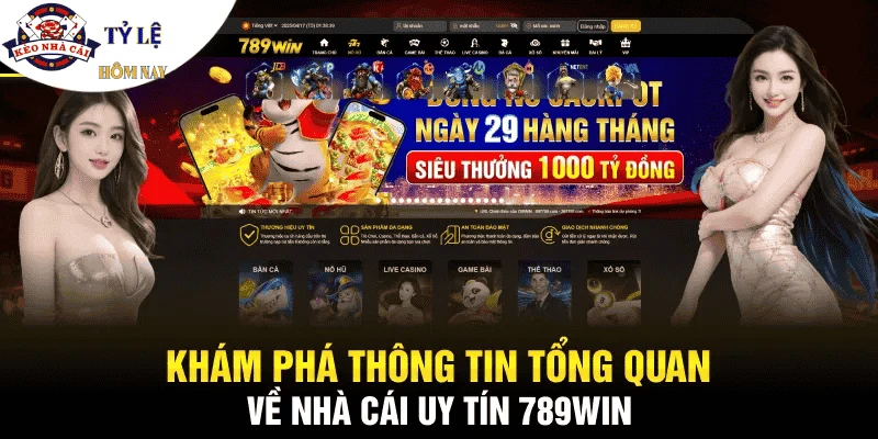 tong-quan-ve-nha-cai-789win
