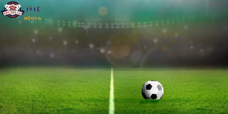 Yếu tố bắt kèo hiệu quả